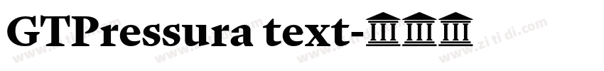 GTPressura text字体转换 GTPressura text字体转换